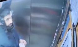 Atatürk fotoğrafına çirkin saldırı!: O işçi işten çıkarıldı