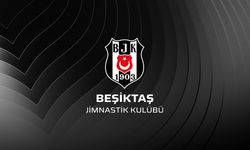 Beşiktaş'ta Divan Kurulu  toplantısı 27 Aralık'ta toplanacak