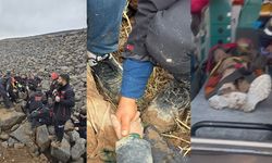 Hatay'da dayı dehşeti: Günlerdir aranan çocuk toprağa gömülü halde bulundu