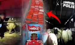 Kan donduran yöntem: Hayvanların karnına uyuşturucu gizlemişler!