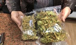 Ihlamur'un kilosu 4 bin 500 lirayı gördü