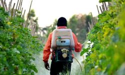 Yeni düzenleme geldi: Tarım ilaçlarına reçete şartı!