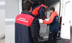 Yasal boy sınırı altındaki tonlarca istavrit yakalandı