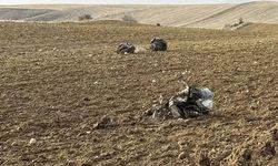 Düşen uçakta son anlar: Pilot ve kule konuşmaları kayıtlarda