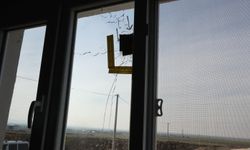 Bir kadın ölmüştü: Silahlı saldırının nedeni sosyal medya paylaşımı olabilir