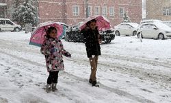 Eğitime kar engeli: Bir kentte okullar tatil edildi!