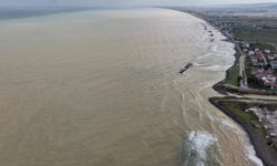 Yağış sonrası Karadeniz'in rengi değişti