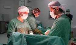 Karın ağrısıyla gitti, böbreğinden 2,2 kiloluk tümör alındı