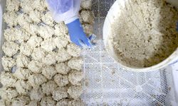 Malatya Tarhanası dünyaya açılıyor!