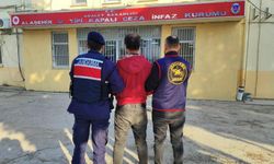 Manisa'da çiftçilerin kabusu oldu! Jandarma gaspçıyı paketledi