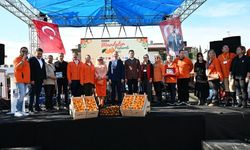Muğla'da "Bodrum Mandalin Festivali" düzenlendi