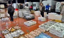 Ne palamut ne çinekop… En çok rağbet gören balık hamsi!