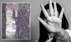 Ormanlık alanda kadın çığlığı! Darp anları kamerada