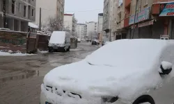 Van'da yoğun kar hayatı felç etti! 90 yerleşim yeri ulaşıma kapandı