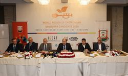 ‘2029 Dünya Gastronomi Şehri’ adayı: Şanlıurfa