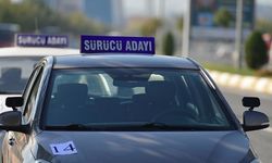 AYM'den ehliyet düzenlemesi! Belgeler iptal edilemeyecek