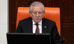 TBMM Genel Kurulu’nda 2024 Yılı merkezi yönetim kesin hesap kanunu teklifi görüşülüyor