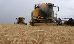 Türkiye'ye AARIENEA'da başkanlık görevi!