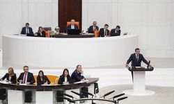 Cumhurbaşkanı Yardımcısı Yılmaz TBMM'de soruları yanıtladı