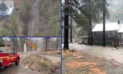 California'yı fırtına vurdu! Olağanüstü hal ilan edildi