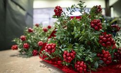 Yılbaşı geleneğinin kahramanı revaçta: Anlamı nedir?