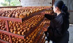 Trabzon hurmasının kurusuna rağbet! Siparişlere yetişemiyorlar!