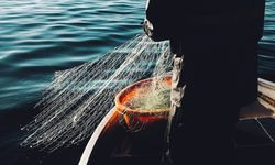 Türkiye, GFCM başkanlığına getirildi