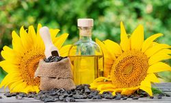 Türkiye’nin ayçiçek yağı ihracatında büyük sıçrama