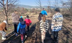 Urla'da yanan orman için 500 meşe palamudu toprakla buluştu