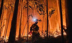 Avrupa'da alevlerle geçen yıl: Yanan alanlar Kıbrıs Adası'ndan daha büyük