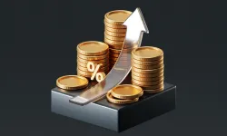 TÜİK geçen senenin şampiyon yatırım aracını açıkladı: Ne kazandırdı?