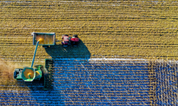 Çiftçiye 1 milyar TL destek! Ödemeler hesaplara geçiyor