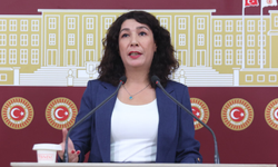 DEM Parti Diyarbakır Milletvekili Halide Türkoğlu "TBMM’deki istismar iddiası için bağımsız soruşturma şart"