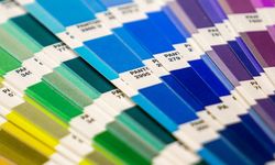 Zeki insanlar en çok bu rengi tercih ediyor!