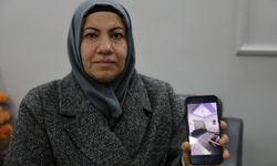 Elazığ'da bir ailenin 16 yıllık birikimi bir anda uçtu: Sazan sarmalının kurbanı oldular