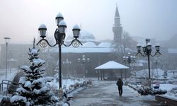 Doğu dondu, batı baharı yaşıyor