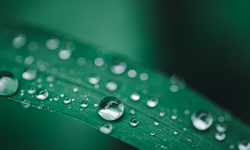 Cemre ne zaman düşecek? İlk cemre nereye düşer? Havaya, suya ve toprağa cemre düşme tarihleri