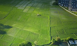 2B arazilerinde ödemeleri yapmayanlara müjde!