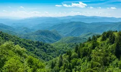 Arazi toplulaştırma ve sınır belirleme kararları düzenlendi