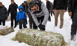 Tunceli'de zorlu kış koşullarında yaban keçileri için doğaya yem bırakıldı