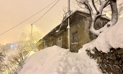 Bitlis'te çığ altında kalan 2 kişi ekiplerce kurtarıldı