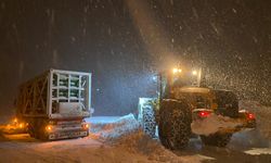 Bitlis'te kar nedeniyle Panor Dağı'nda mahsur kalan doğal gaz tankeri kurtarıldı