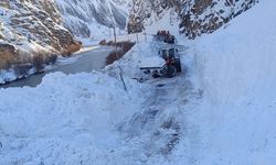 Çığ nedeniyle kapanan Hakkari-Van kara yolu açıldı