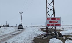 Bitlis'te kuduz tehlikesi: Bir köy karantinaya alındı