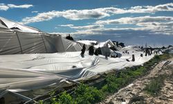 Hortum Antalya'yı yerle bir etti: 14 sera kullanılamaz hale geldi