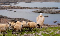 Kuruyan Karacadağ krater gölü tekrar hayat buldu
