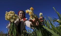 Karaburun'da doğadan gelen ekonomi