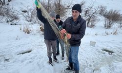 Hakkari'de "Eskimo" usulü balık avı