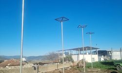 Muğla'da leyleklere ev hazırlığı