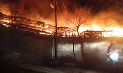 Alevler geceyi aydınlattı! Erbaa’da korkutan yangın: Tek katlı ev küle döndü